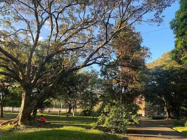 Apartment Hermoso Aparta-Estudio En Envigado Cerca De Medellin